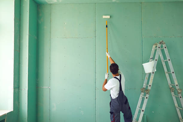 Best Mold Odor Removal Services  in Kingston Springs, TN