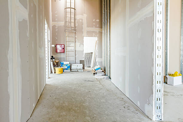 Best Water Damage & Mold Remediation  in Kingston Springs, TN